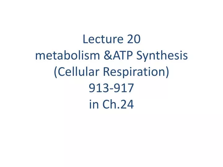 lecture 20 metabolism atp synthesis cellular respiration 913 917 in ch 24