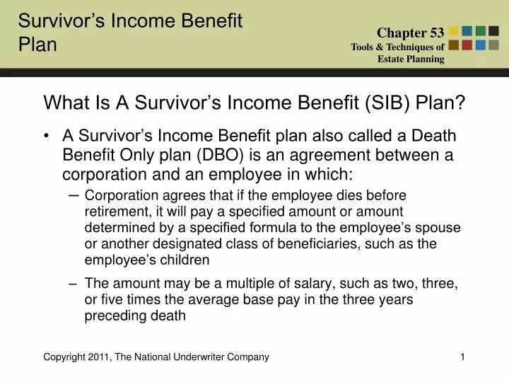 what is a survivor s income benefit sib plan