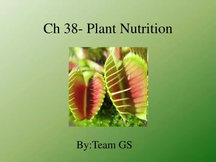 ch 38 plant nutrition