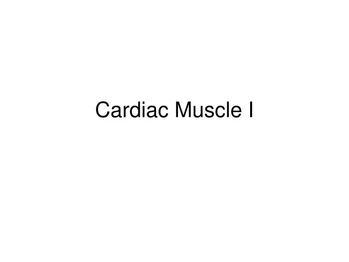 cardiac muscle i
