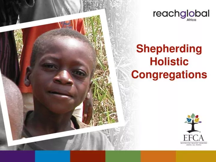 shepherding holistic congregations