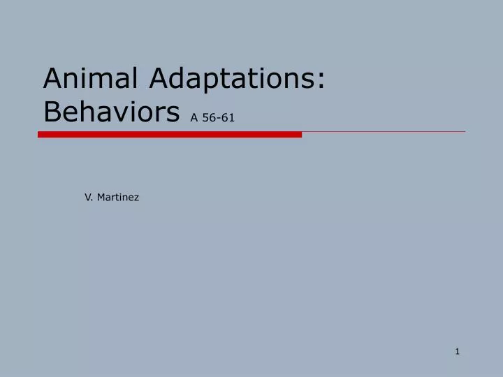 animal adaptations behaviors a 56 61