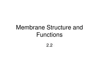 membrane structure and functions