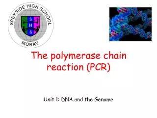 the polymerase chain reaction pcr