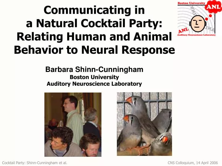 communicating in a natural cocktail party relating human and animal behavior to neural response
