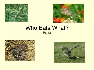 who eats what pg 83