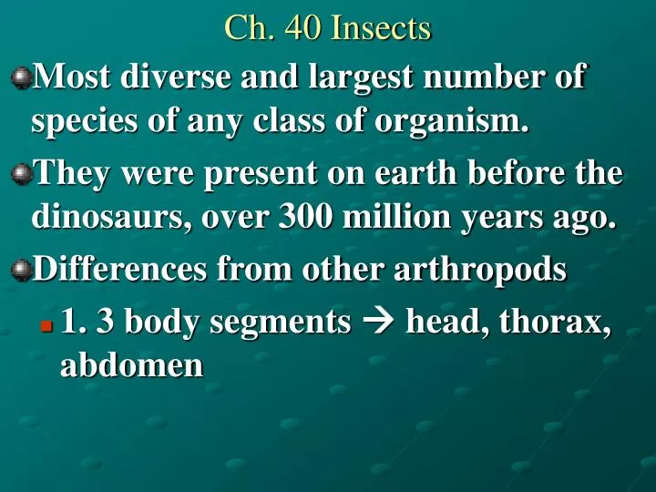 ch 40 insects