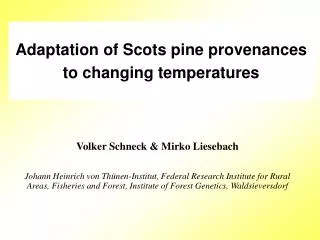 Adaptation of Scots pine provenances to changing temperatures