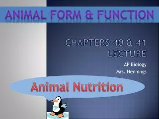 Chapters 40 &amp; 41 Lecture