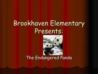 Brookhaven Elementary Presents: