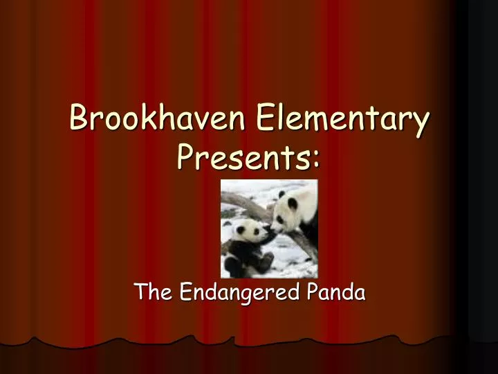brookhaven elementary presents