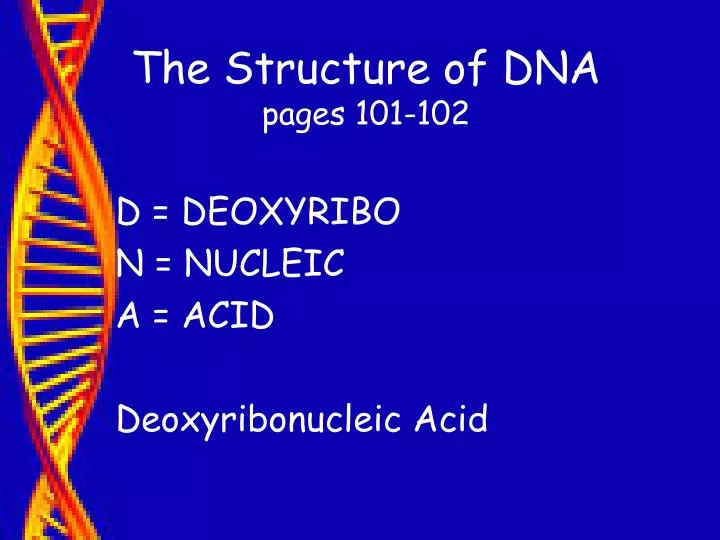 the structure of dna pages 101 102