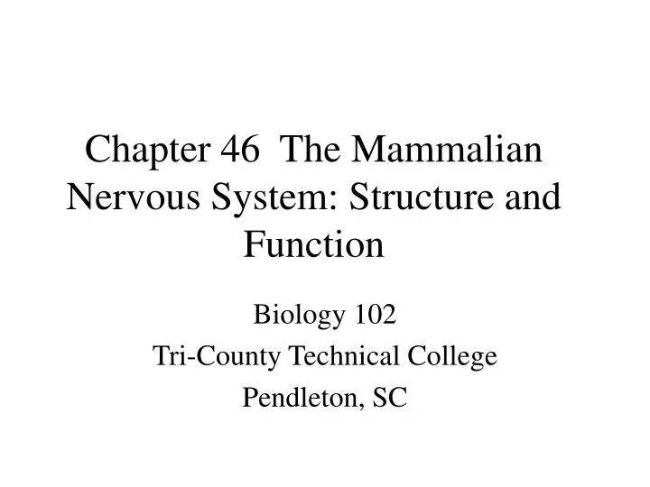 chapter 46 the mammalian nervous system structure and function