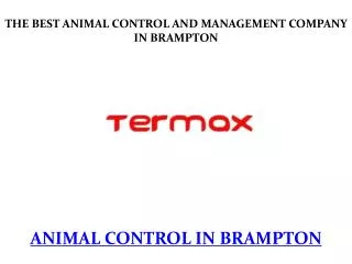 animal control in brampton