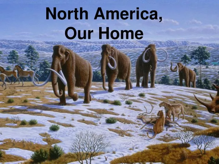 north america our home