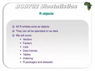 R objects