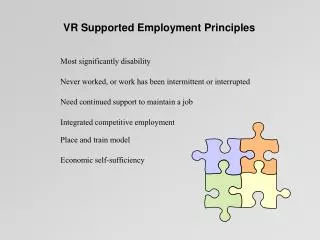 VR Supported Employment Principles