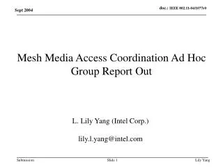 Mesh Media Access Coordination Ad Hoc Group Report Out