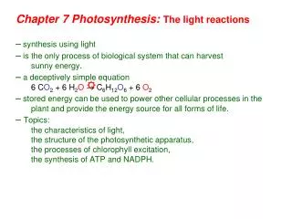 Chapter 7 Photosynthesis: The light reactions
