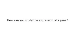 How can you study the expression of a gene?
