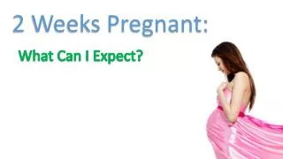 2 Weeks Pregnant - What Can I Expect?