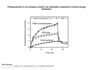 Photoprotection in an ecological context: the remarkable complexity of thermal energy dissipation