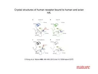 X Xiong et al. Nature 499 , 496-499 (2013) doi:10.1038/nature12372