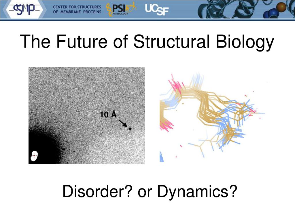 PPT - The Future of Structural Biology PowerPoint Presentation, free ...