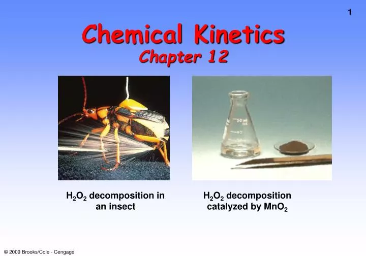 chemical kinetics chapter 12