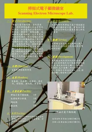 scanning electron microscope lab