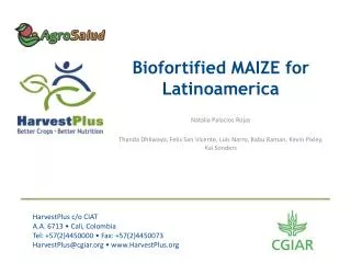 Biofortified MAIZE for Latinoamerica