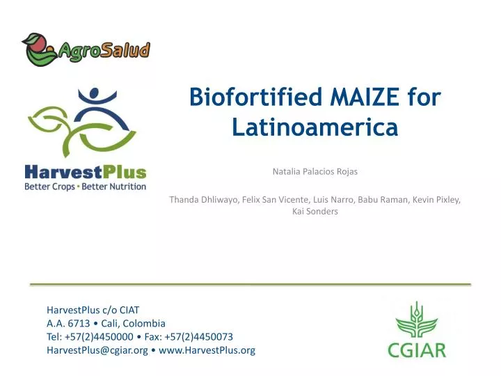 biofortified maize for latinoamerica
