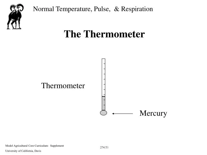 the thermometer