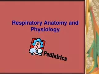 PPT - The Anatomy And Physiology Of The Respiratory System PowerPoint ...