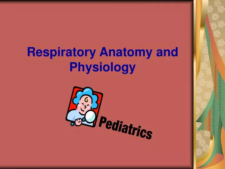respiratory anatomy and physiology