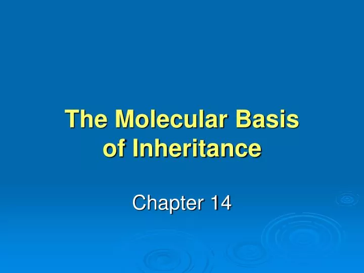 the molecular basis of inheritance