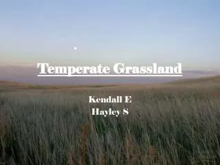 Temperate Grassland