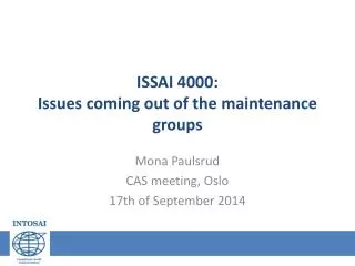 ISSAI 4000: Issues coming out of the maintenance groups