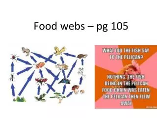 Food webs – pg 105