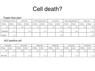 Cell death?