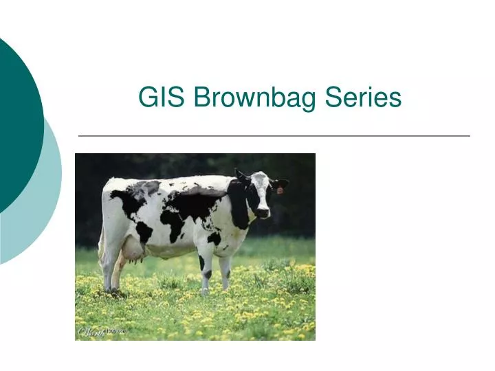 gis brownbag series
