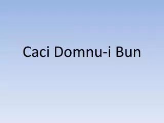 caci domnu i bun