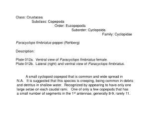 Class: Crustacea Subclass: Copepoda
