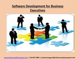 Software Development for Business Executives
