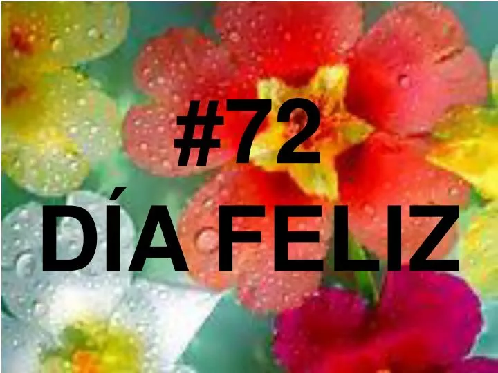 72 d a feliz