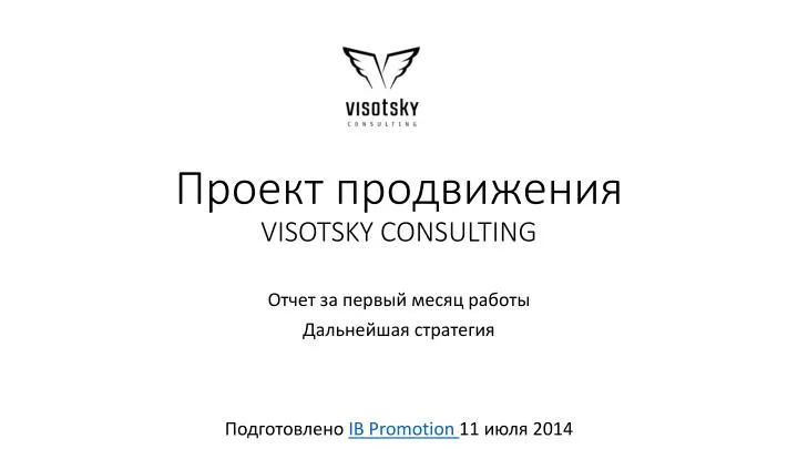 visotsky consulting