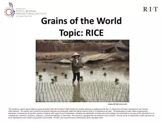 Grains of the World Topic: RICE