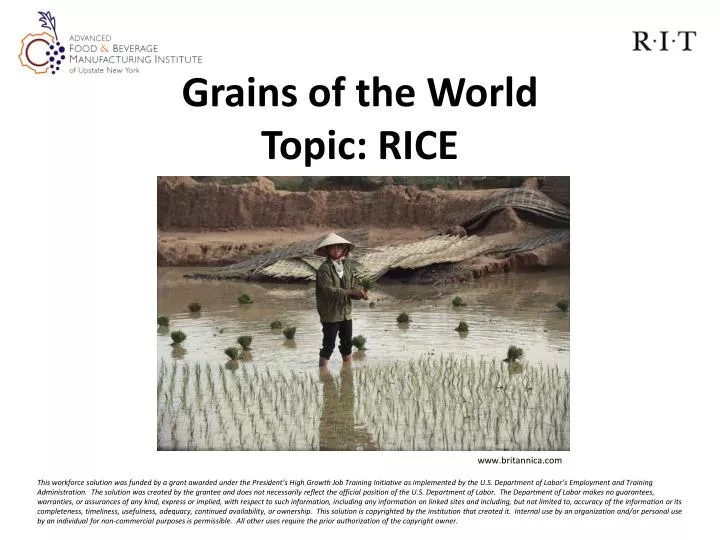 grains of the world topic rice