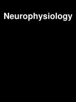 Neurophysiology - slide 1