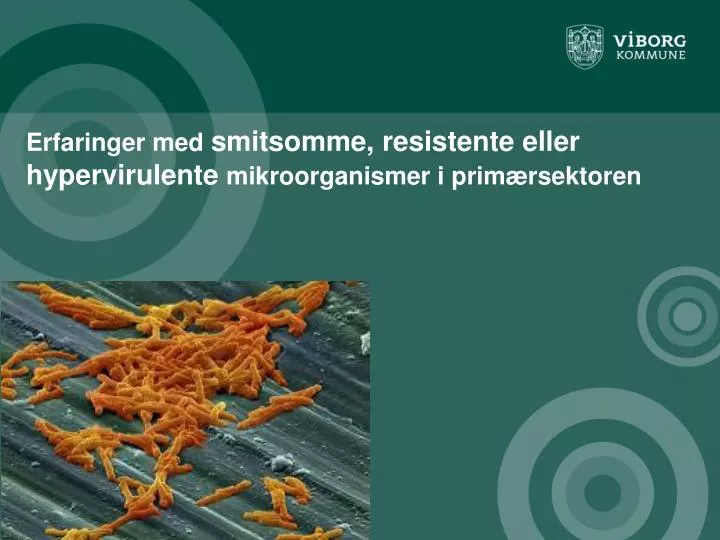 erfaringer med smitsomme resistente eller hypervirulente mikroorganismer i prim rsektoren